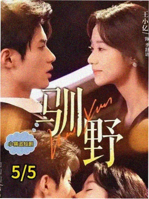 犯罪剧情第二则欧美限制级电影图鉴封面